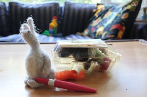Summer fling, my only felting project - a rabbit from a kit (2011). 